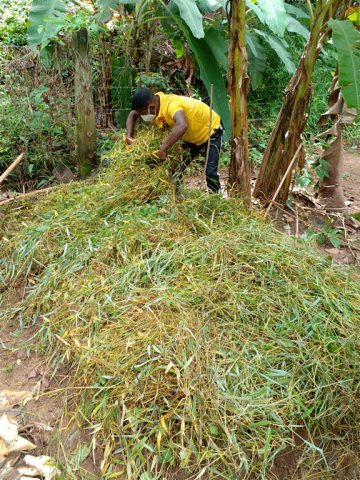 Compost demonstration programme (2021)