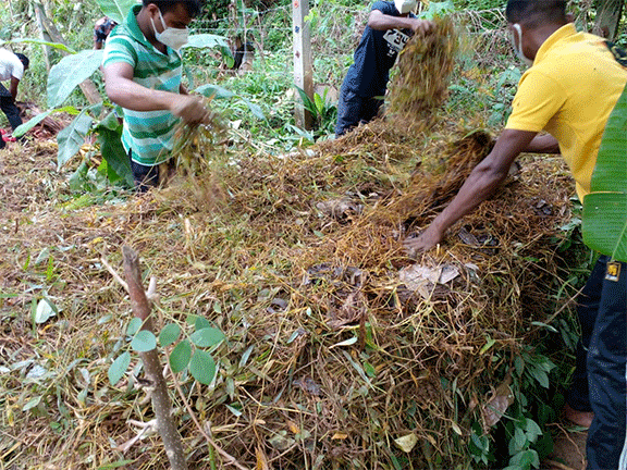 Compost demonstration programme (2021)