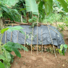 Compost demonstration programme (2021)