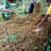 Compost demonstration programme (2021)